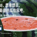 娱乐吃瓜文案去哪里找啊,热门平台攻略一览