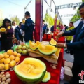 哪里都有中国人娱乐吃瓜,中国“吃瓜群众”的足迹