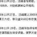 吃瓜喵娱乐,揭秘娱乐圈幕后故事，带你领略明星真实生活