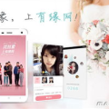 交友婚恋,交友婚恋平台全解析与选择指南”